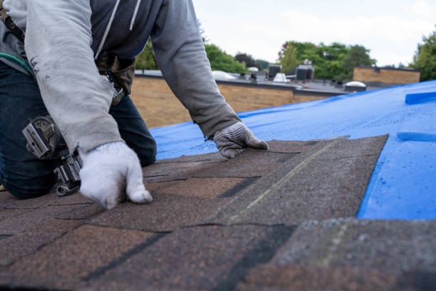 Best Roof Maintenance Services  in Berryville, TX