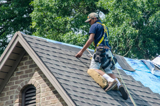 Best Roof Leak Repair  in Berryville, TX